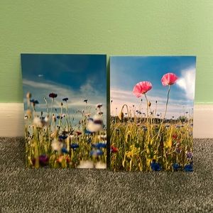Two 5” x 7” Prints of Pennsylvania Wildflowers